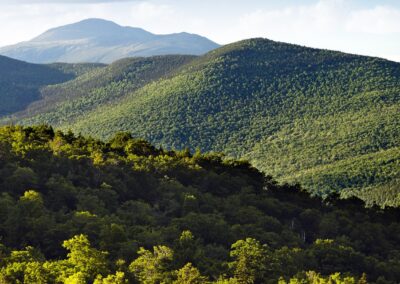 Mount Washington Valley Area